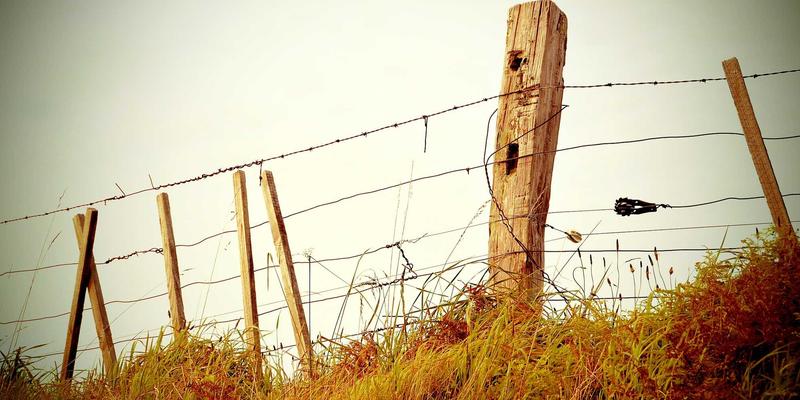 2026年欧冠半决赛皇家马德里对阵曼城的比赛前瞻，球场灯光璀璨